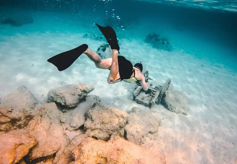 Underwater Snorkel Garden