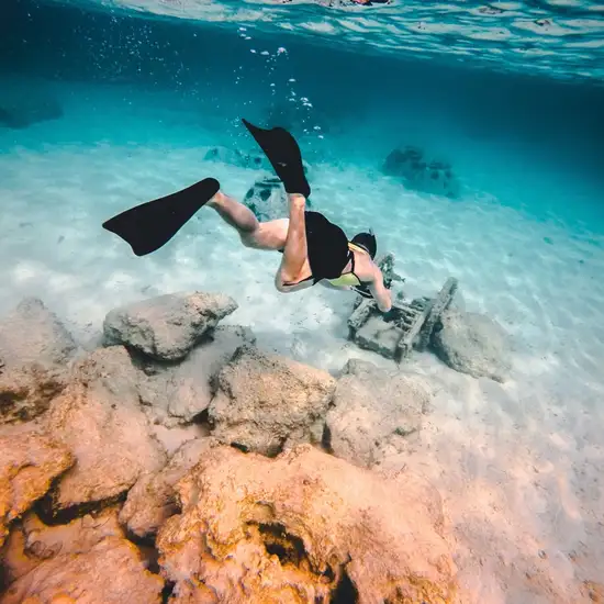 Image related to Underwater Snorkel Garden