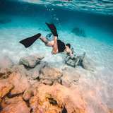 Image related to Underwater Snorkel Garden