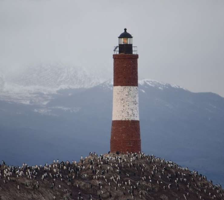 Isla de los Pinguinos