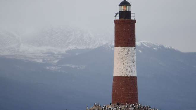 Sail to a wildlife-rich island off Patagonia, home to rare rockhopper penguins.