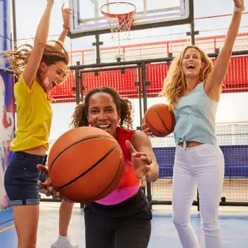 Image related to Valiant Lady