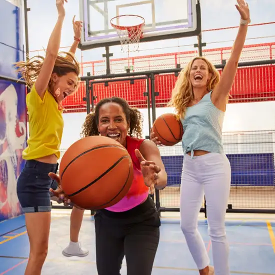 Image related to Valiant Lady