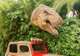 Universal Orlando 3 Park Adventure